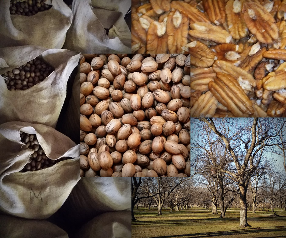 Oklahoma pecans from Frazier Pecans